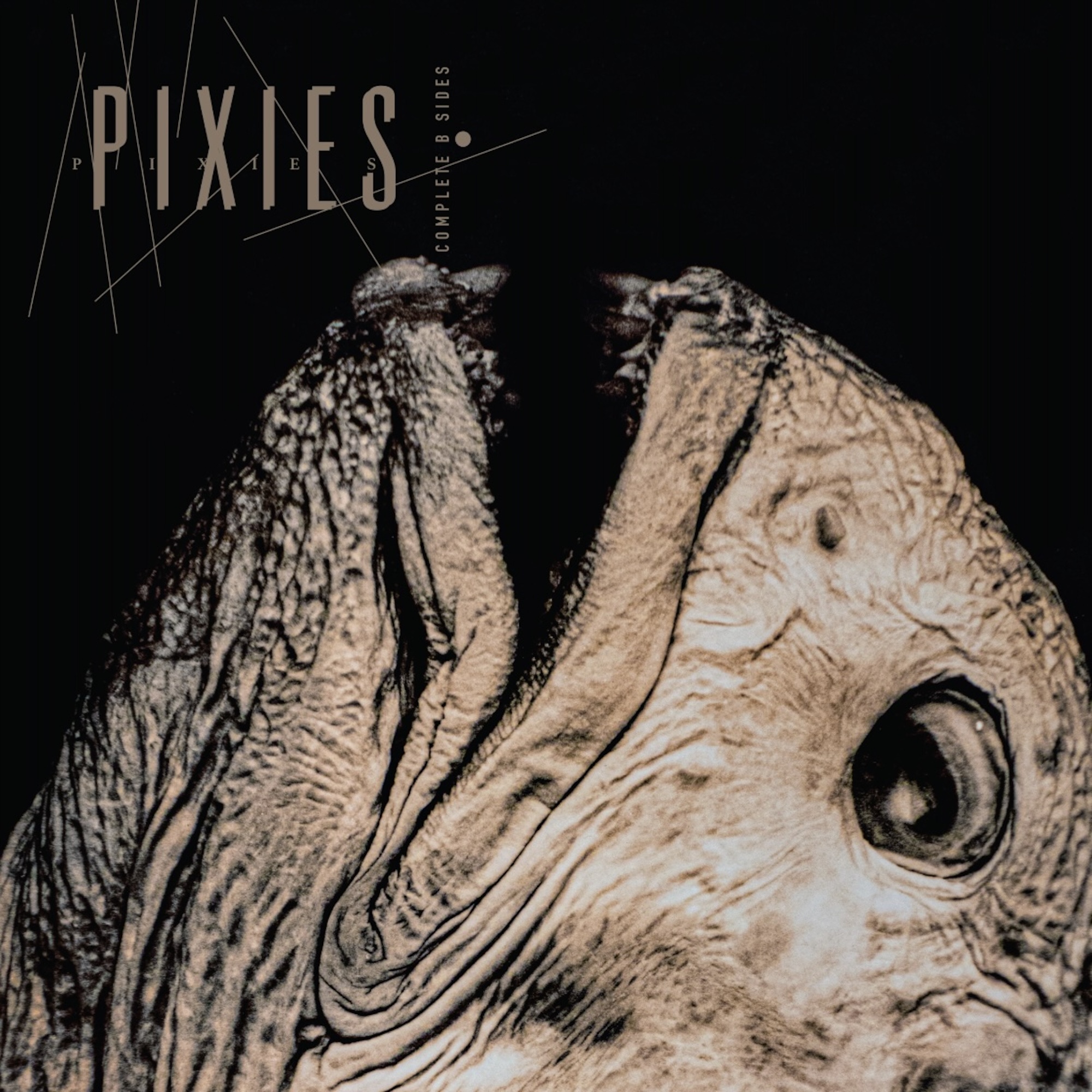 Pixies 'Complete B-Sides: 1988-97' 