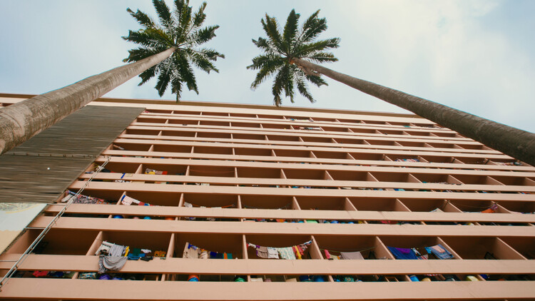 Climate, Culture, and Modernism: The Postcolonial Campus as Architectural Laboratory - Image 7 of 12
