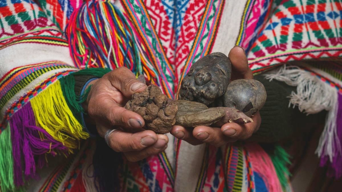 Humans in The Andes Have Evolved a Strange Digestive Superpower : ScienceAlert