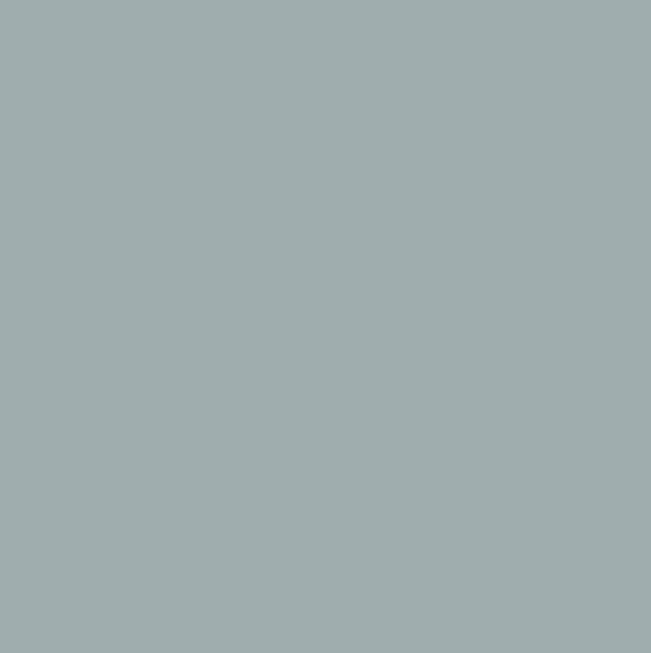 Paint &amp; Paper Library, Spruce