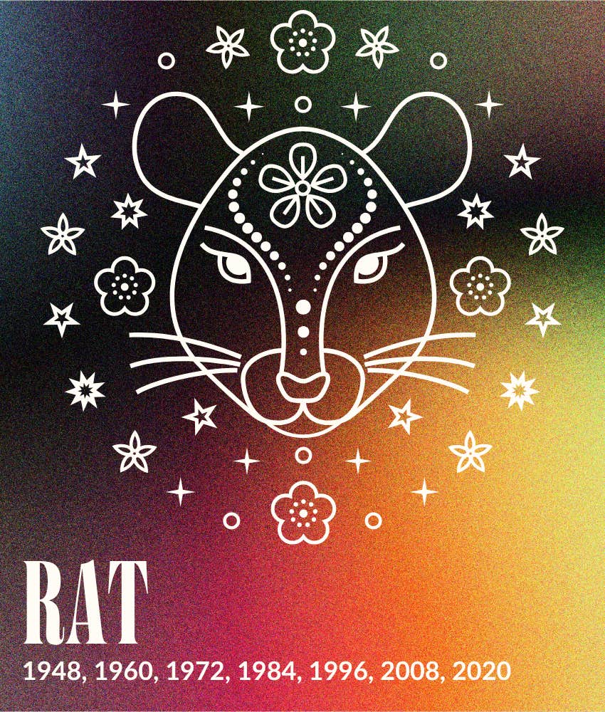 rat chinese zodiac signs life better may 12, 2026