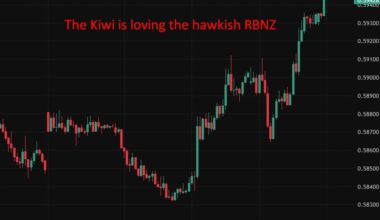 RBNZ's Silk flags near-term inflation pressure and rate hikes in coming meetings