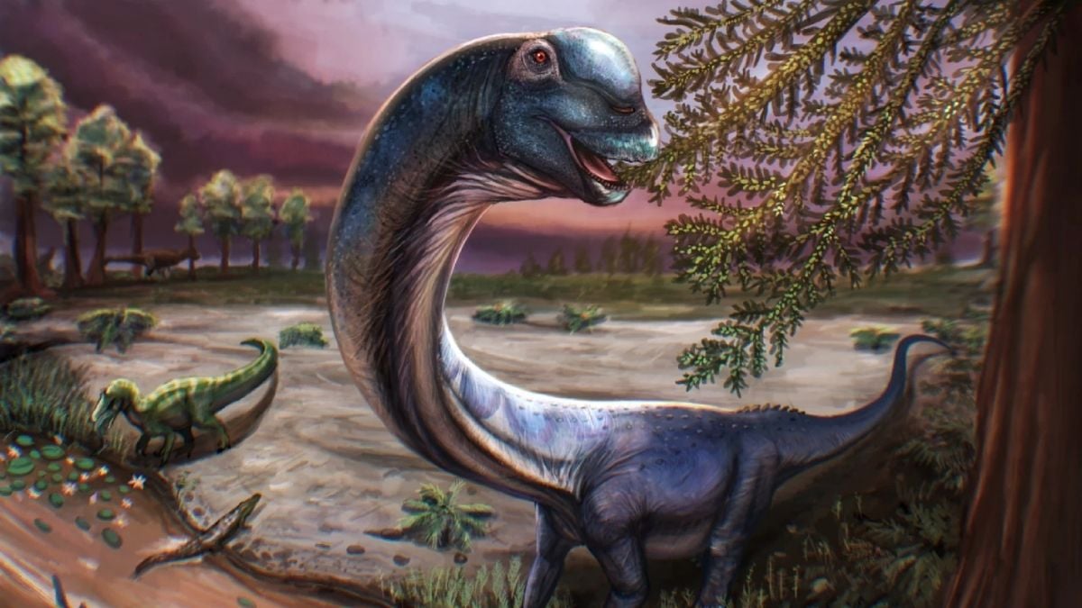 Largest Ever Dinosaur Discovered in Southeast Asia Was a Real Doozy : ScienceAlert