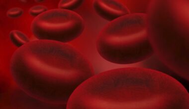 Researchers trace the origin of blood cells back to possible single-celled ancestors