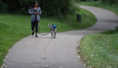 River Valley paved trails