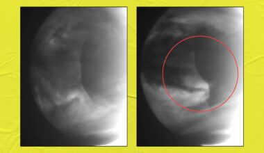 Scientists Detect Weird Anomalies in Clouds of Venus