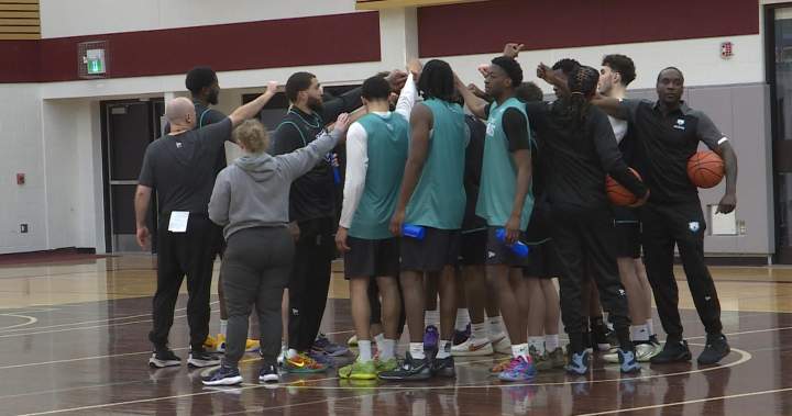 Winnipeg Sea Bears back in action - Winnipeg