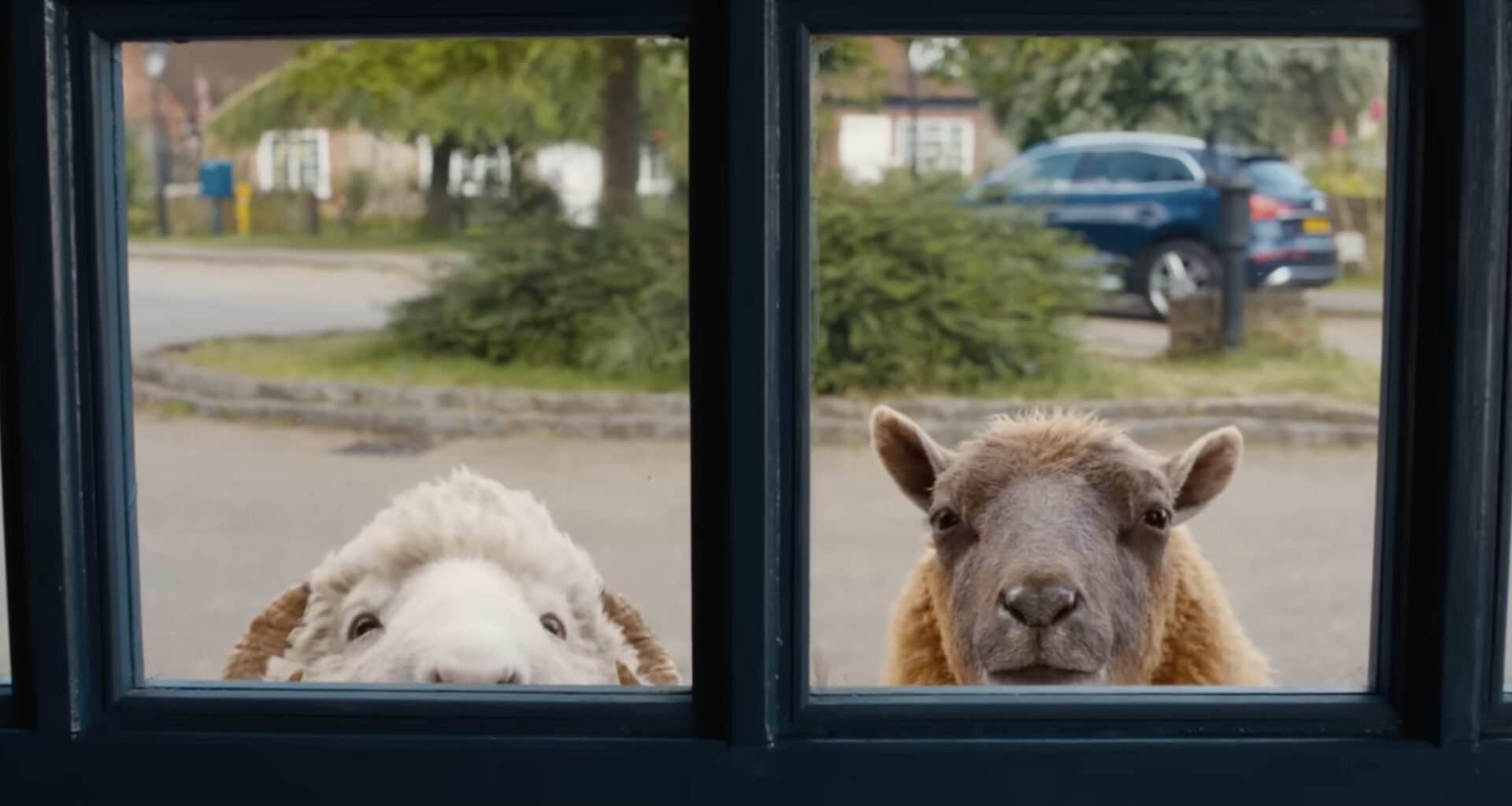 'The Sheep Detectives' Made Me Baaaawl My Eyes Out