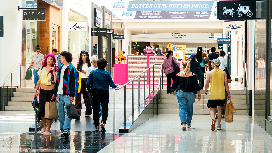 Shoppers at a mall.