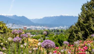 Your Very Vancouver May 2026 horoscopes
