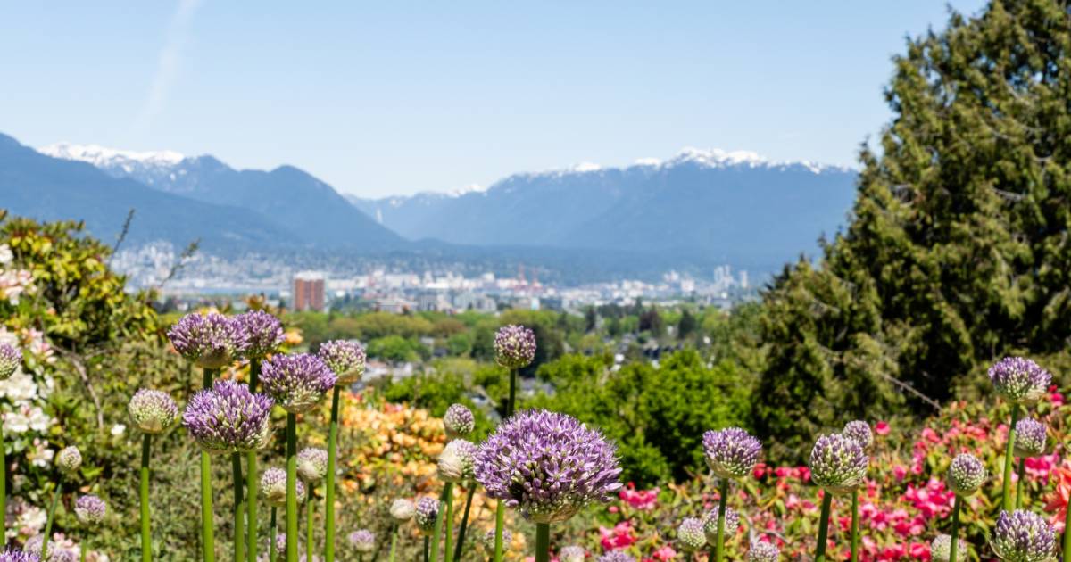 Your Very Vancouver May 2026 horoscopes