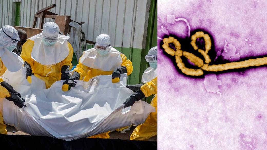 Click to play video: 'Ebola outbreak ‘spreading rapidly’ as suspected cases rise, WHO chief says'