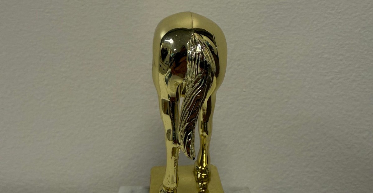 Behold, the Elon Musk jackass trophy