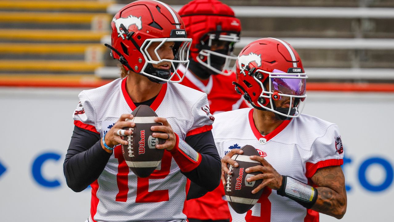 Stampeders aim to play in home Grey Cup