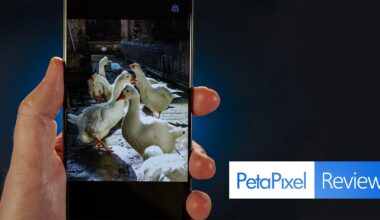 A hand holding a smartphone displaying a photo of several white ducks standing together outdoors, with a "PetaPixel Reviews" logo on a dark background to the right.