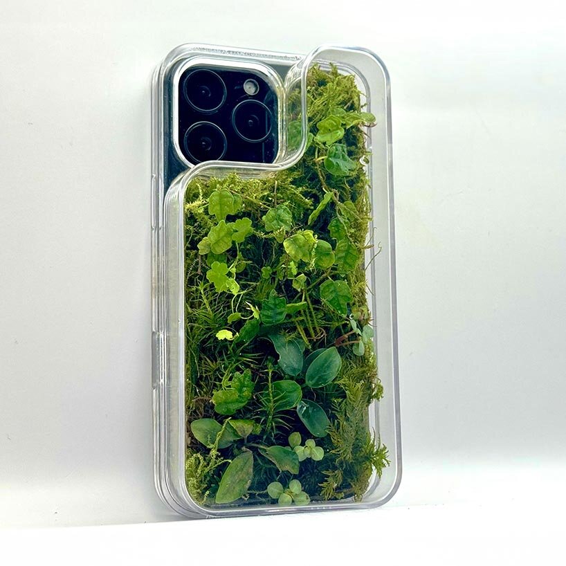 this transparent phone case grows moss and plants inside - 2