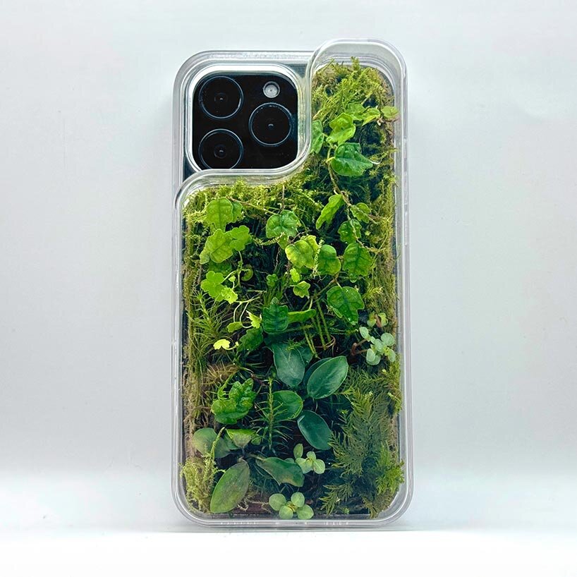 this transparent phone case grows moss and plants inside - 1