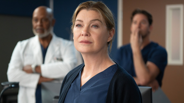 Ellen Pompeo as Meredith Grey