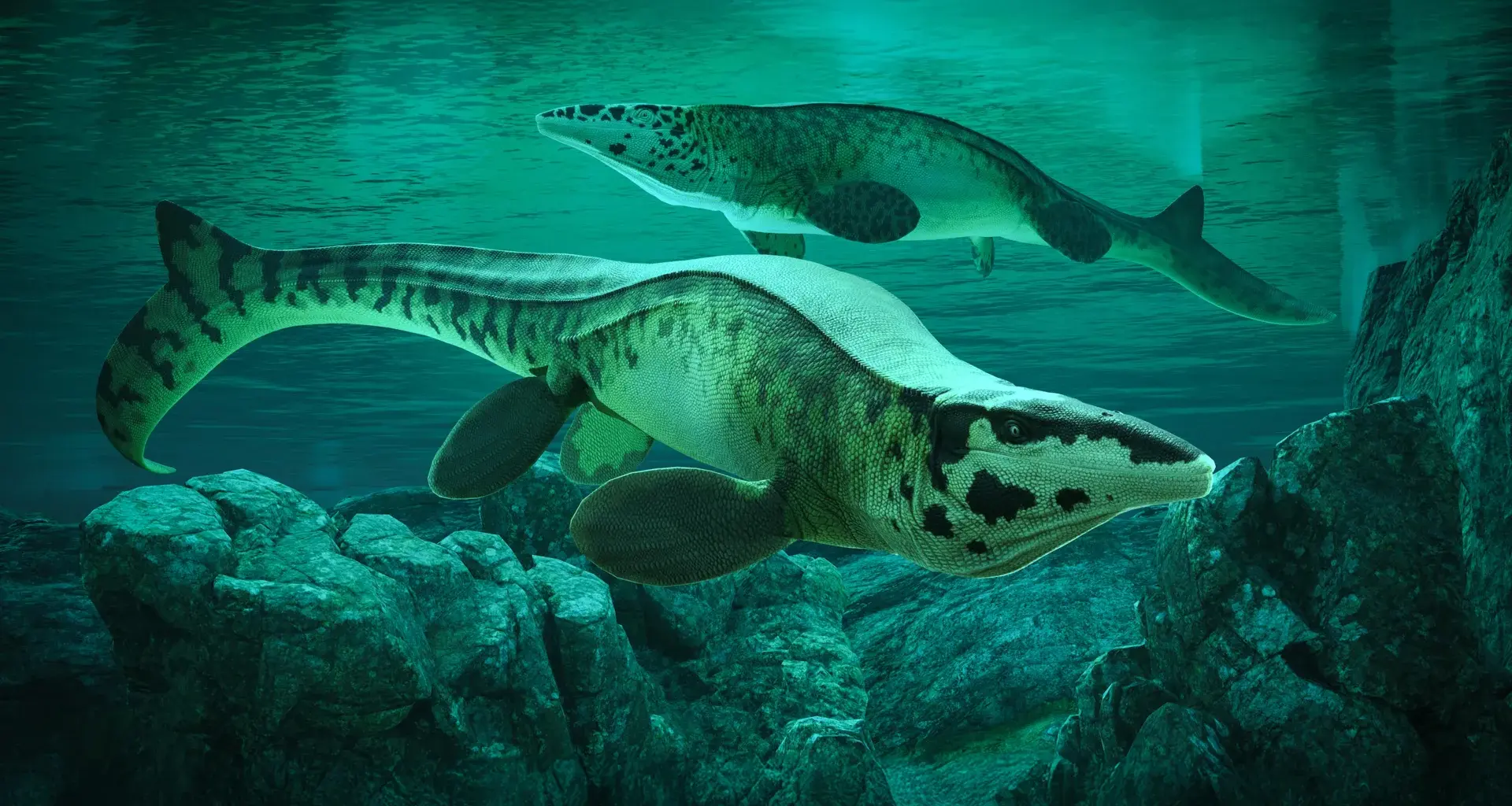 Scientists discover giant sea predator Tylosaurus rex that terrorized ancient oceans