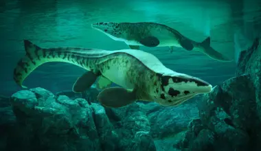 Scientists discover giant sea predator Tylosaurus rex that terrorized ancient oceans