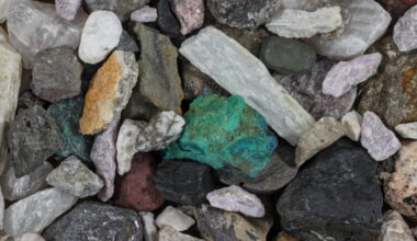 Diversifying the Critical Minerals Map
