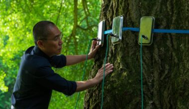 'Silent Friend' review: A gingko with a mind of its own charms Tony Leung