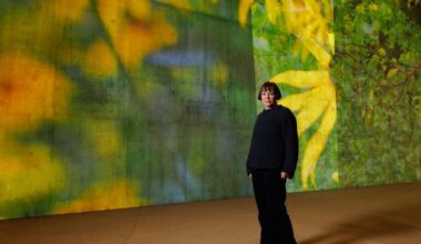 A Diana Thater video installation at LACMA's David Geffen Galleries