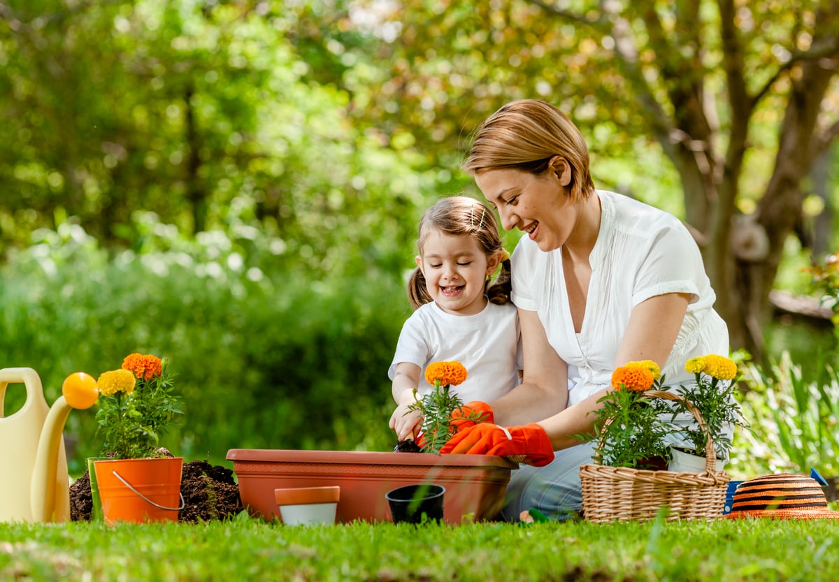 Parent and child planting flowers.