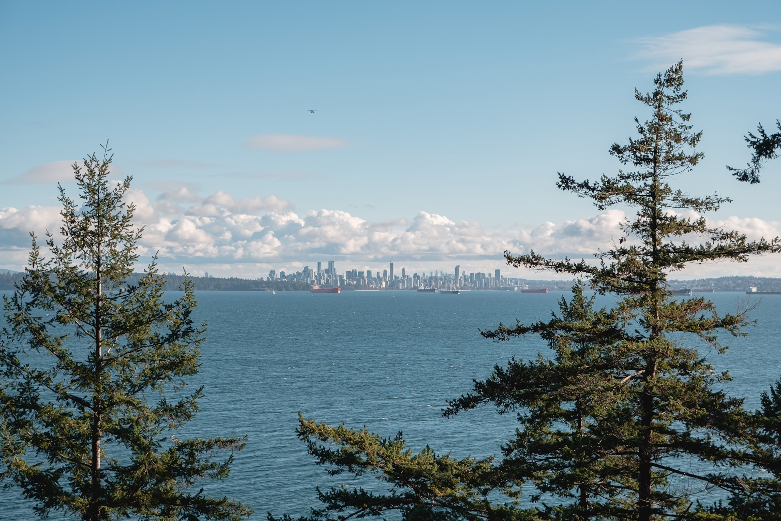 A landscape shot taken from a forest island across the sea onto a city.