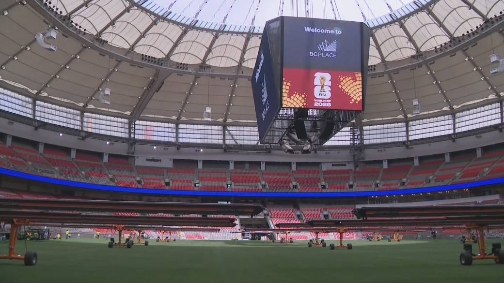 Click to play video: 'Government’s World Cup Ticket Policy'