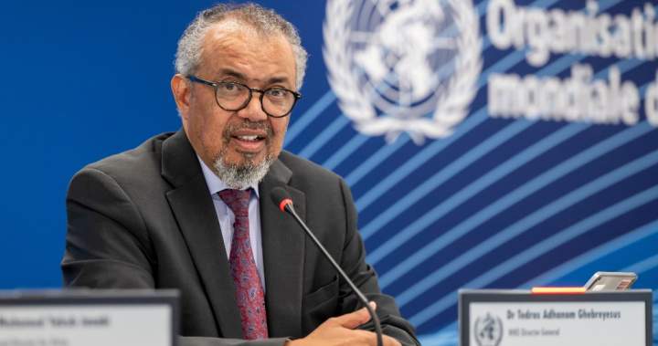 WHO head calls for ceasefire in Congo to help tackle Ebola outbreak - National