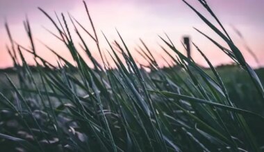 May 22 weather: Wind gusts up to 50 km/h in southern Ontario