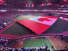 World Series flag