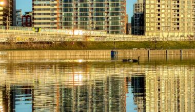 Buildings appear golden in the sunlight and are reflected in the water of a canal as geese swim along.