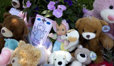 A memorial made up of plush animals, toys and cards is seen among greenery. A card depicts a girl as an angel, with the name Ava written on it.