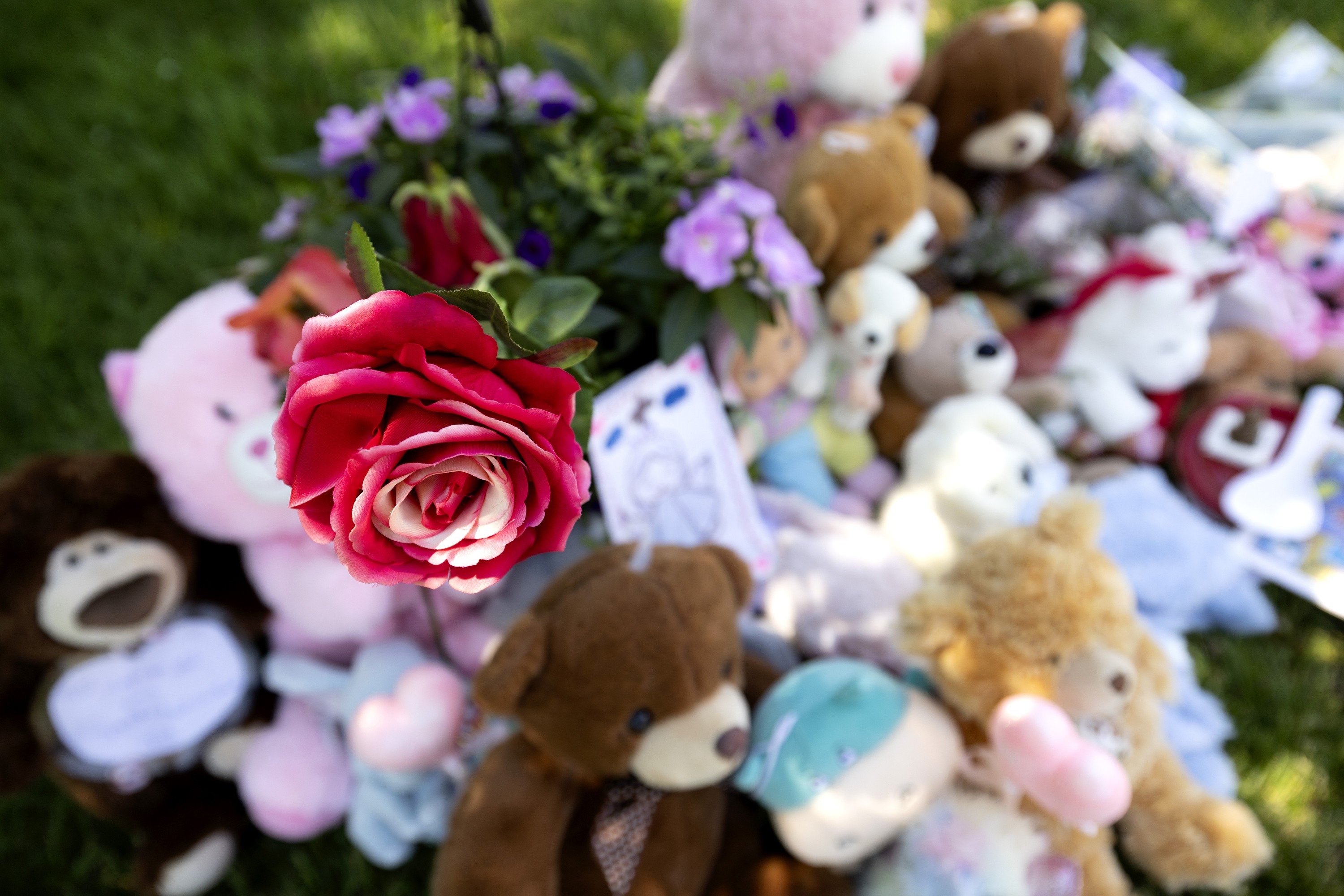 A memorial made up of plush animals, toys and cards is seen among greenery. The memorial is seen from above, with a rose in focus in the foreground.
