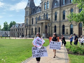 protest