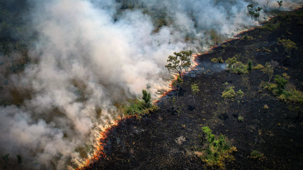 Smoke rises as orange fire burns through brown dirt and green trees.