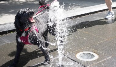 Montreal turns off decorative fountains as water system repairs intensify