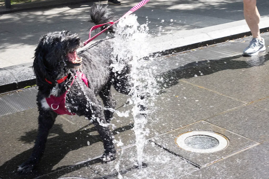 Montreal turns off decorative fountains as water system repairs intensify