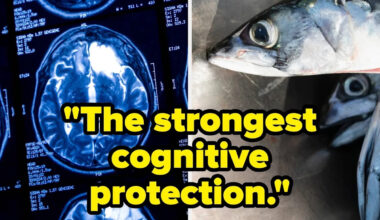 Specialists Are Begging People To Eat These 3 Foods That Lower Dementia Risk