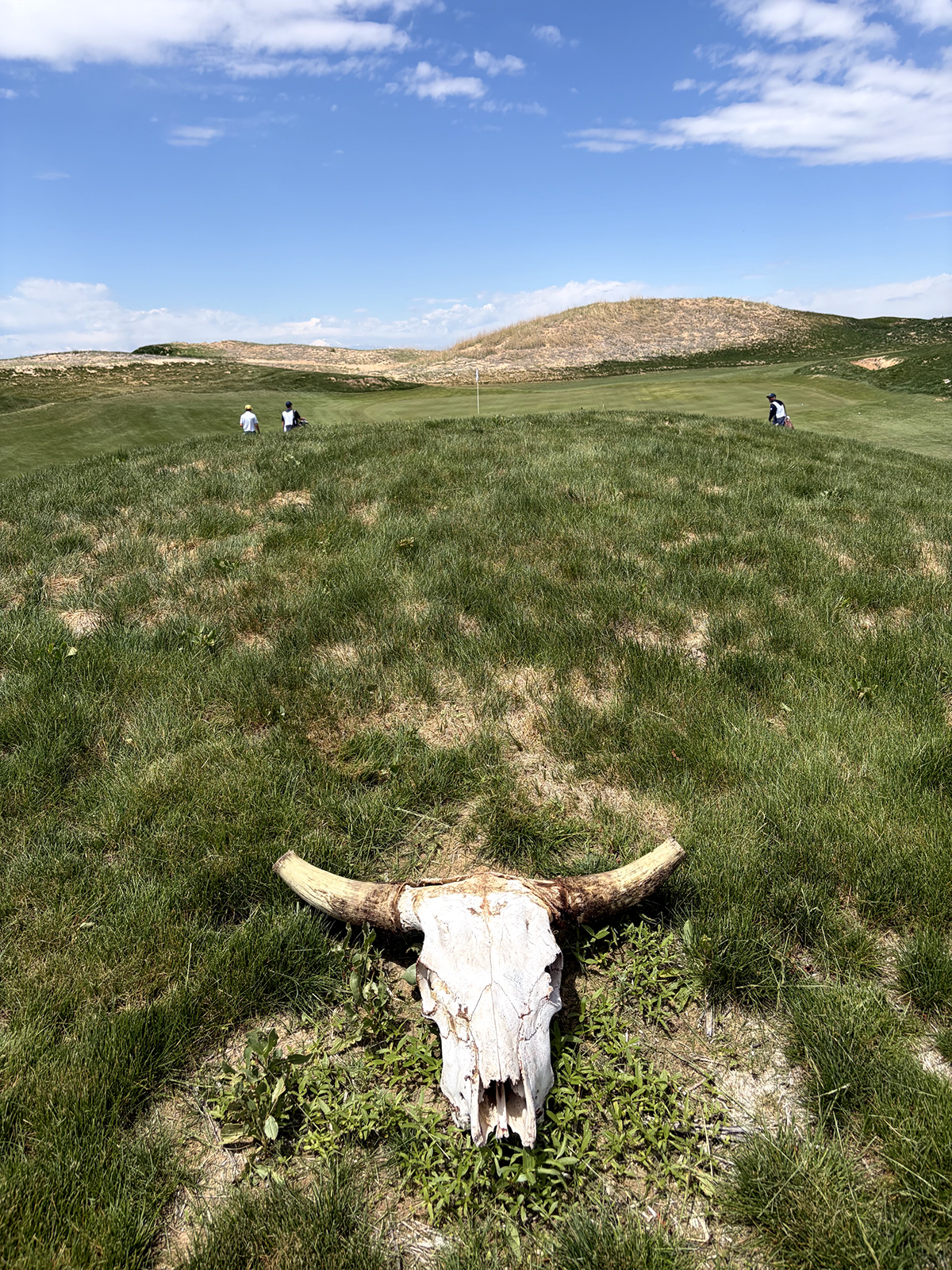 A skull at the 15th hole at Rodeo Dunes in Roggen, Colorado