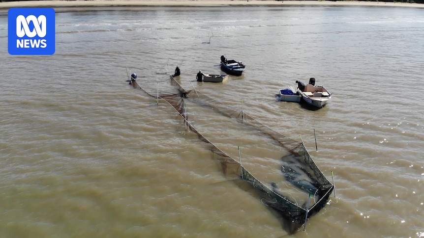 Recreational anglers demand end to tunnel-net trials in north Queensland