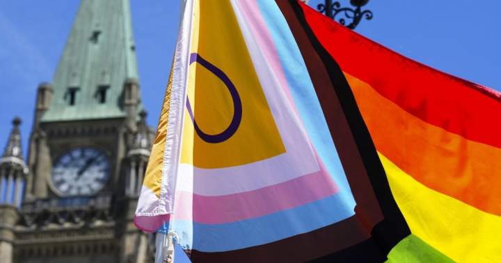 Critics say Canada’s new immigration and border law puts LGBTQ+ people in danger - National