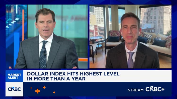 Apple raising prices is a 'very positive indication' when it comes to chip demand: D.A. Davidson's Luria
