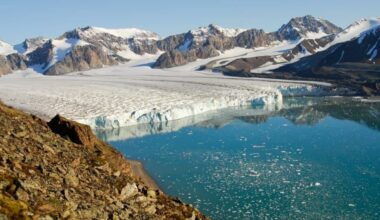 Arctic icebergs may boost deep-sea biodiversity, Nature study finds