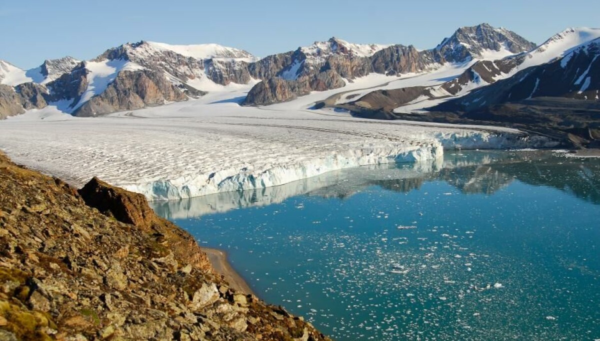 Arctic icebergs may boost deep-sea biodiversity, Nature study finds