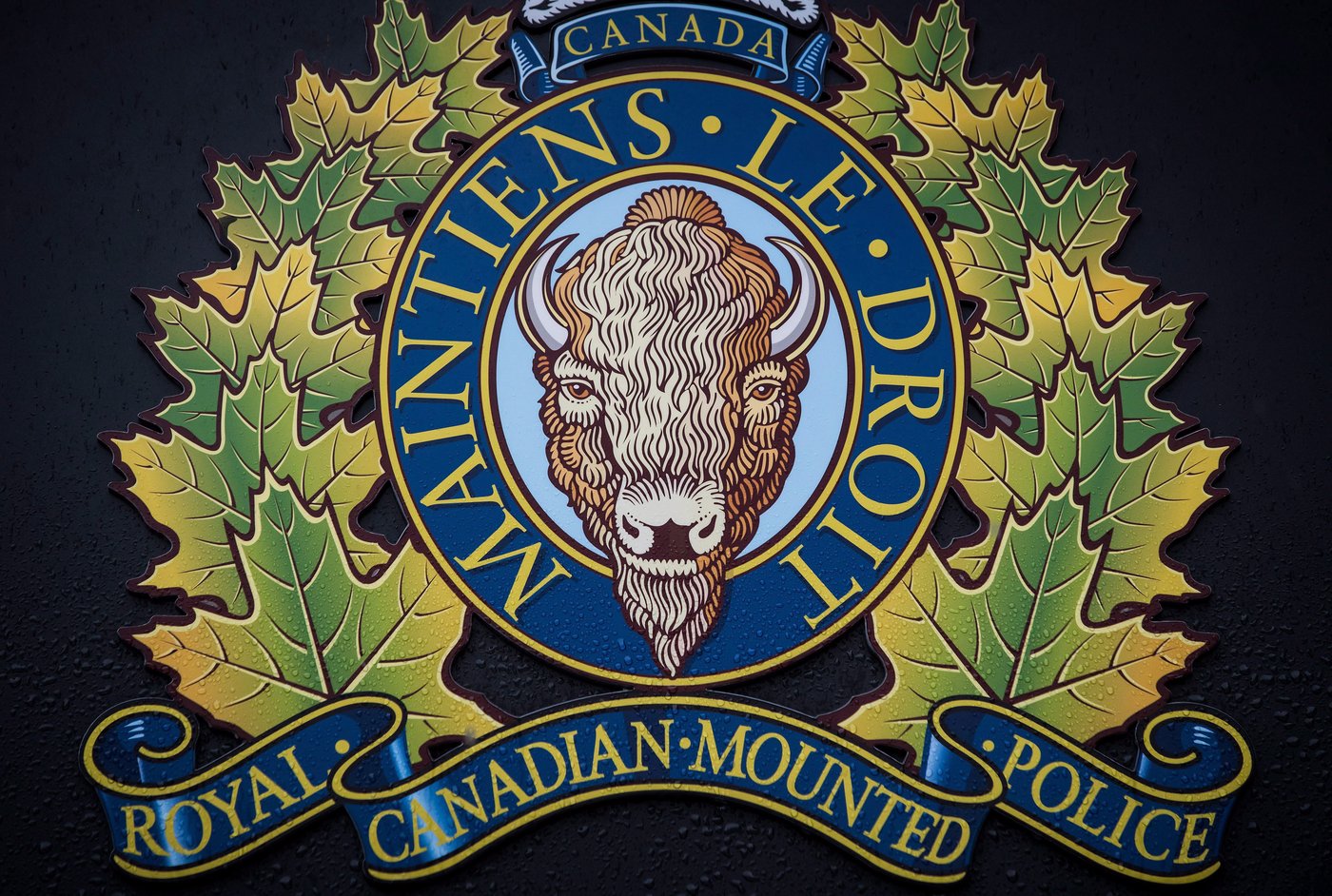 Calgary man faces impaired driving charges in fatal Sylvan Lake crash
