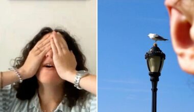 Icelandair has found the 'world's worst photographer' - and is paying her $50,000