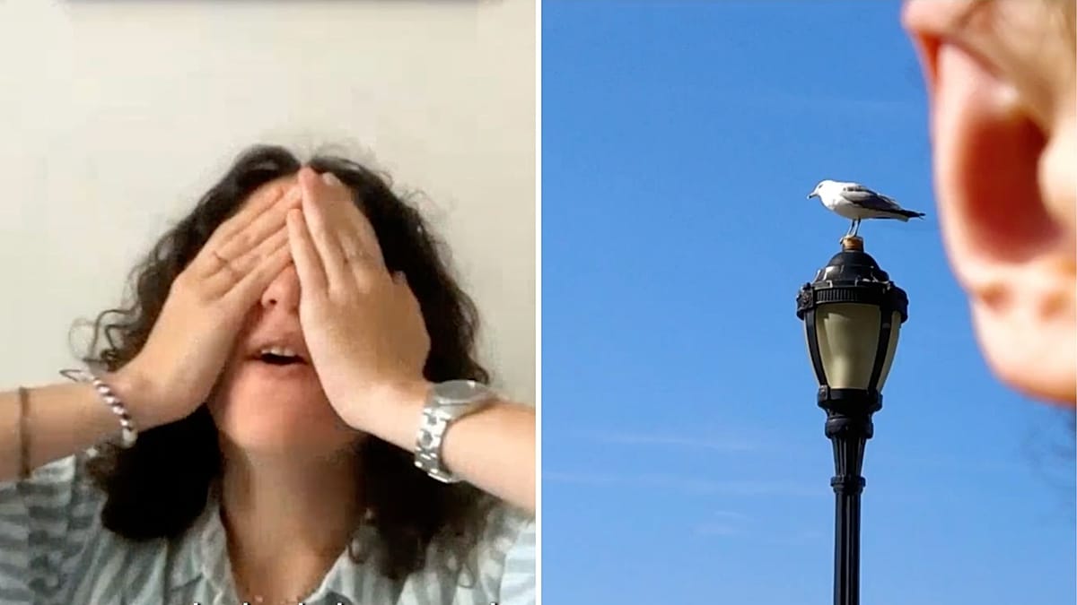Icelandair has found the 'world's worst photographer' - and is paying her $50,000
